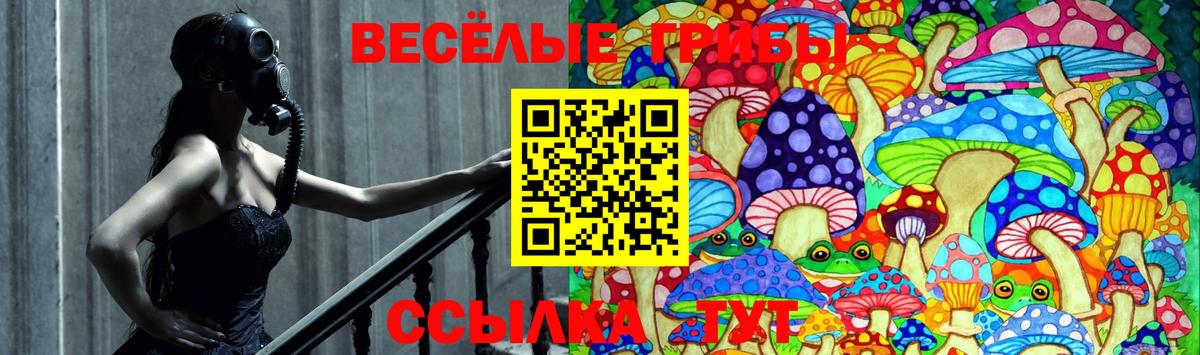 Псилоцибиновые грибы Cubensis Черняховск